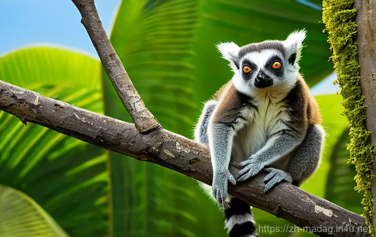마다가스카르 삼림 벌채와 자연보호 - **Prompt 1: The Vibrant Heart of Madagascar's Biodiversity**
    "A hyper-realistic, high-resolution...