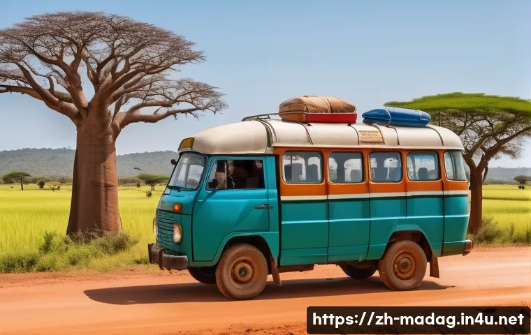 마다가스카르 여행 안전 꿀팁 관련 이미지 1