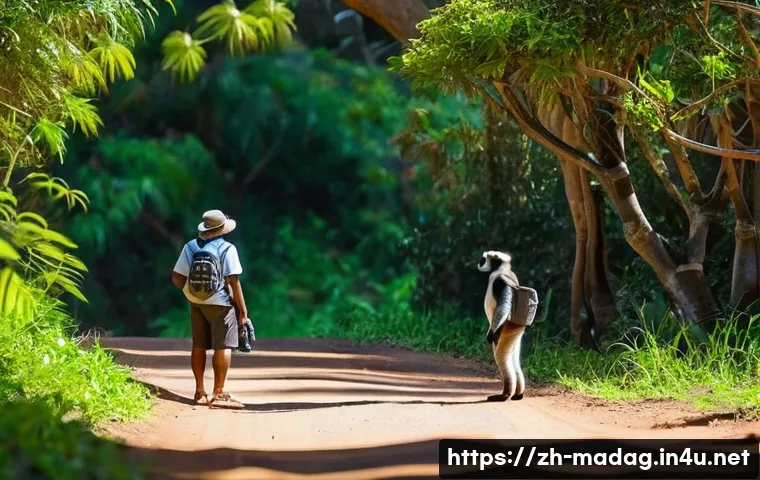 马达加斯加旅行安全,不知道这些就亏大了! 4 마다가스카르 여행 안전 꿀팁 관련 이미지 2